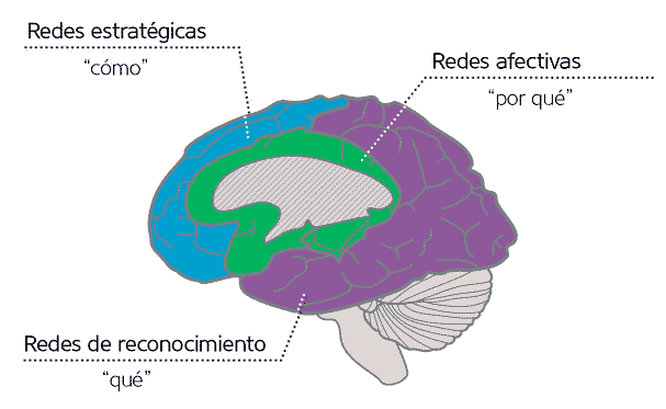 Imagen: UDL & the Learning Brain. CAST (2018b)