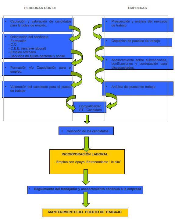 itinerario formativo / laboral síndrome de Down Estapa de Empleo
